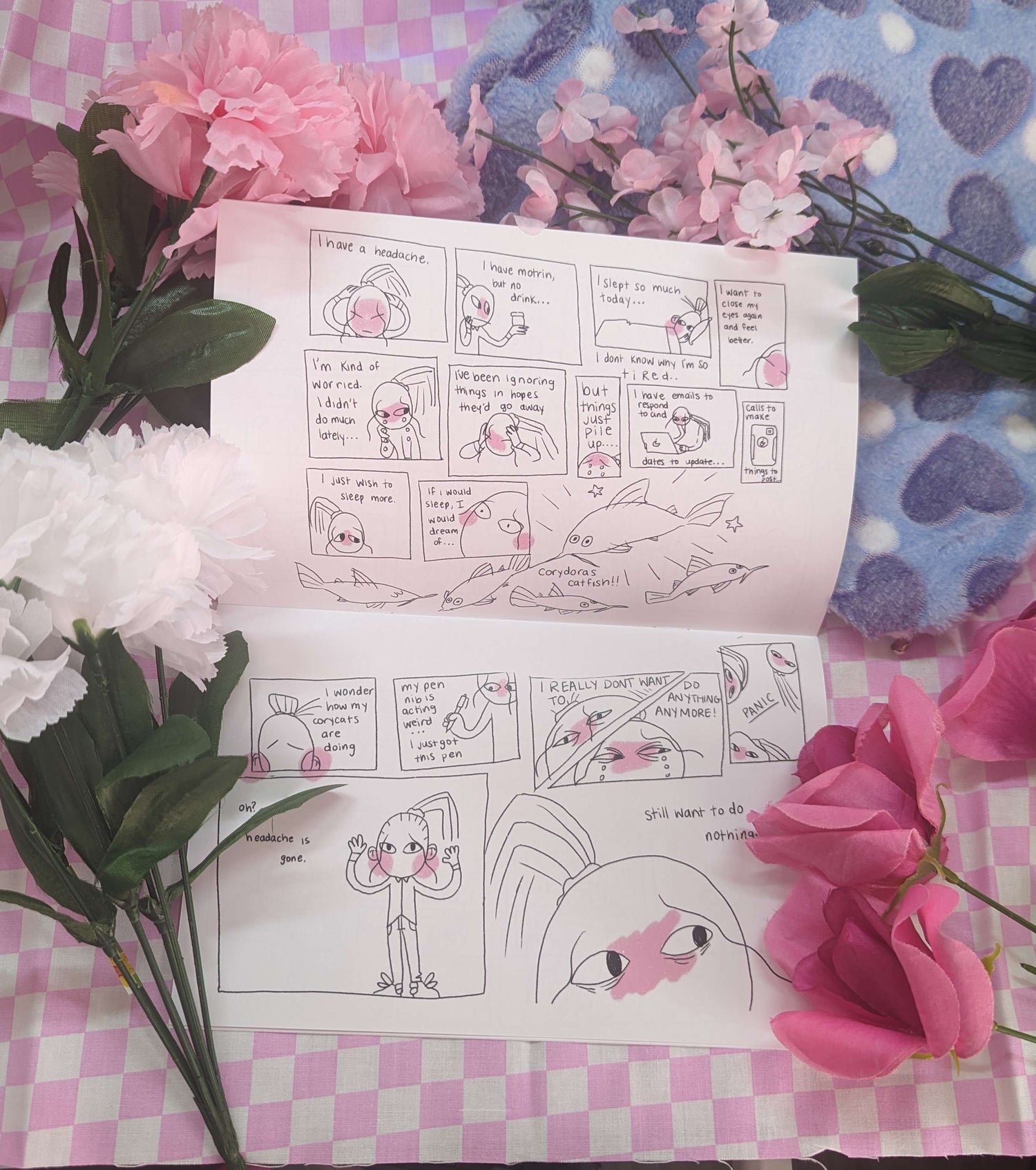 2024 January Collection