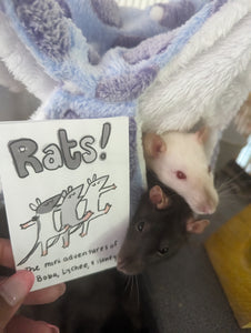 Rats! Mini Comic/ Zine